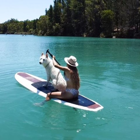 Meet your Posher, Braelie-ann - Picture 1 of 1